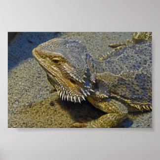 Poster Vivre sous le feu - Dragon à l'oreille