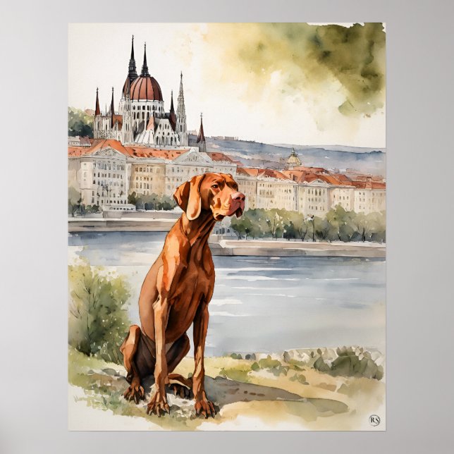 Poster Vizsla hongroise - Art Chien Imprimer (Devant)