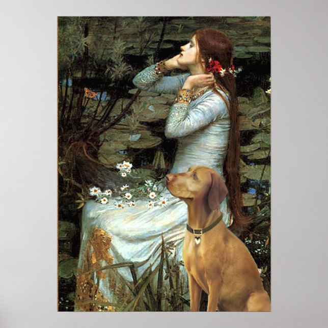 Poster Vizsla - Ophelia assis (Devant)