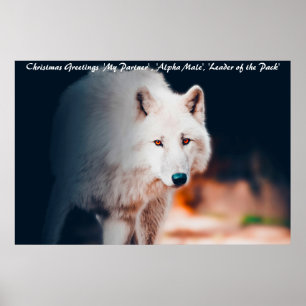 Poster Vœux de Noël Chef de Meute