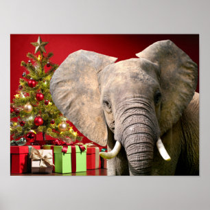 Poster Voeux de Noël éléphant