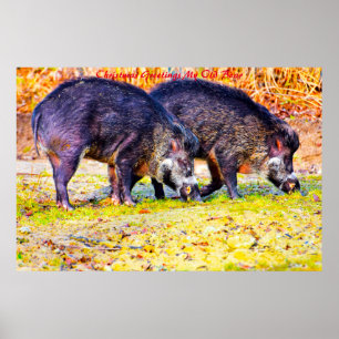 Poster voeux de Noël Mon vieux garçon