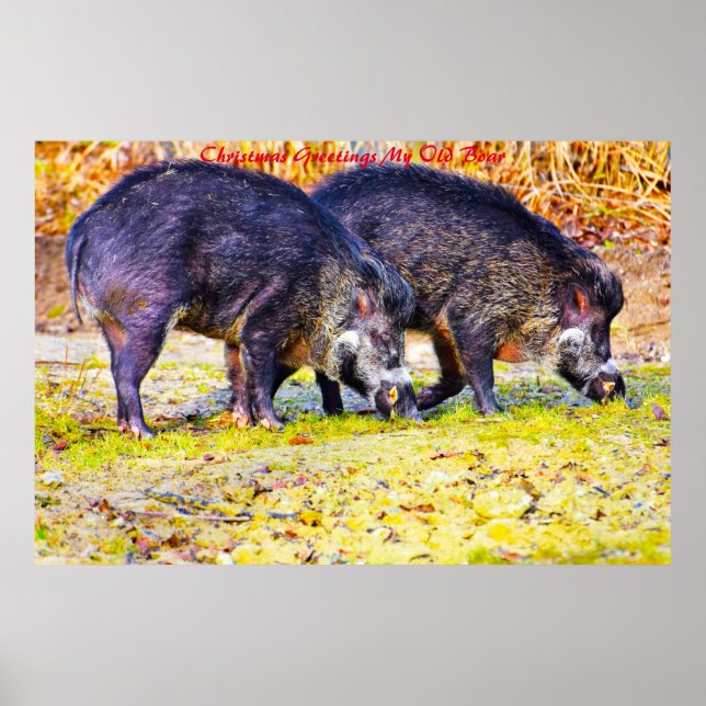 Poster voeux de Noël Mon vieux garçon (Devant)