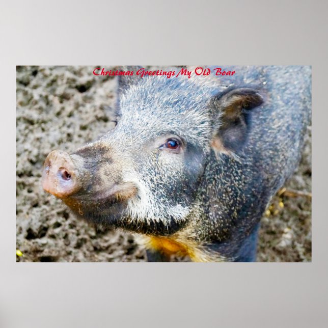 Poster voeux de Noël Mon vieux garçon (Devant)
