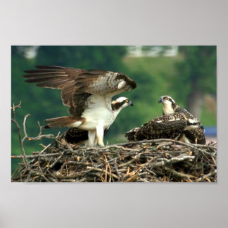 Poster Voici comment ces choses fonctionnent