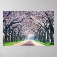 Voie Cherry Blossom