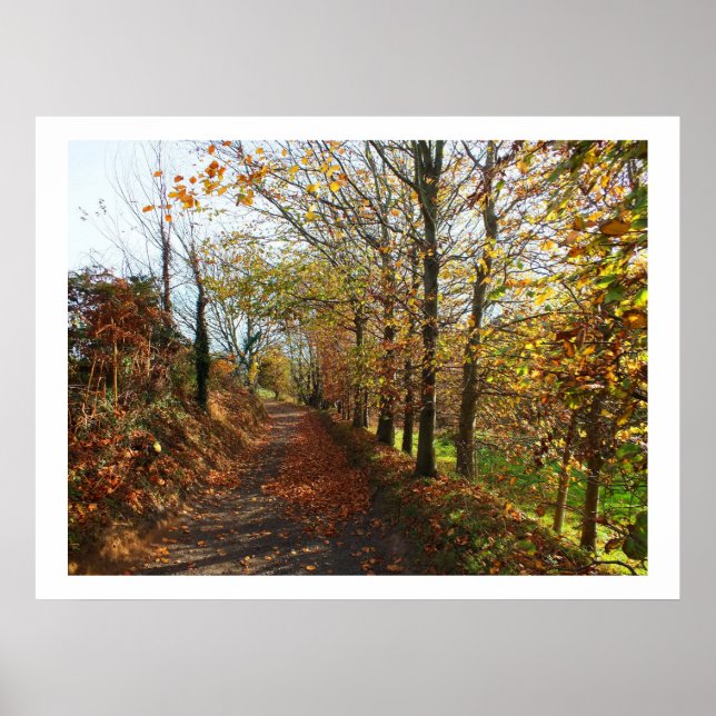 Poster Voie Jersey en automne (Devant)