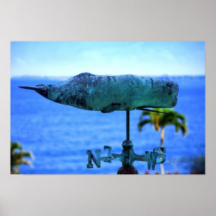 Poster Voie météo de baleine à bosse