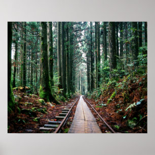 Poster Voies de train dans la forêt