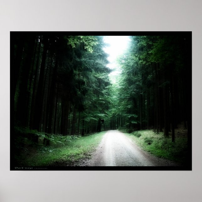 Poster Voies sombres (Devant)