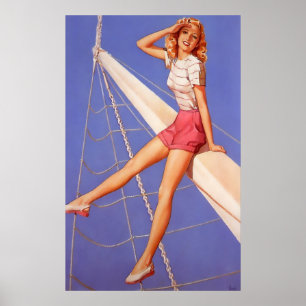 Poster Voile