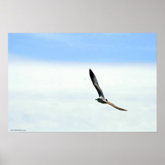 Poster Voile - Customisée