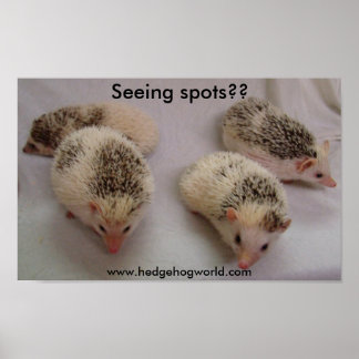 Poster Voir des spots ?