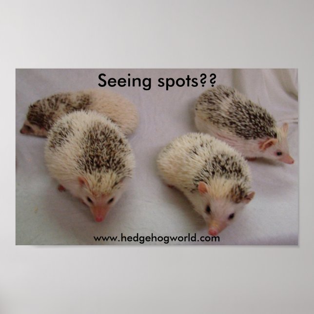 Poster Voir des spots ? (Devant)