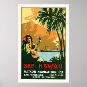 Poster Voir l'affiche de voyage d'Hawaï