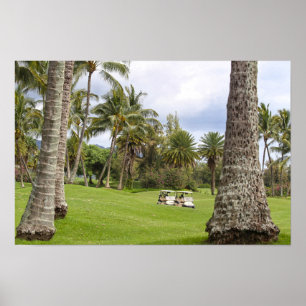 Poster Voitures de golf à Poipu Bay, Kauai, Hawaï
