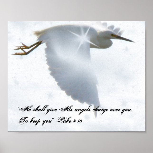 Poster Vol Angel (Devant)