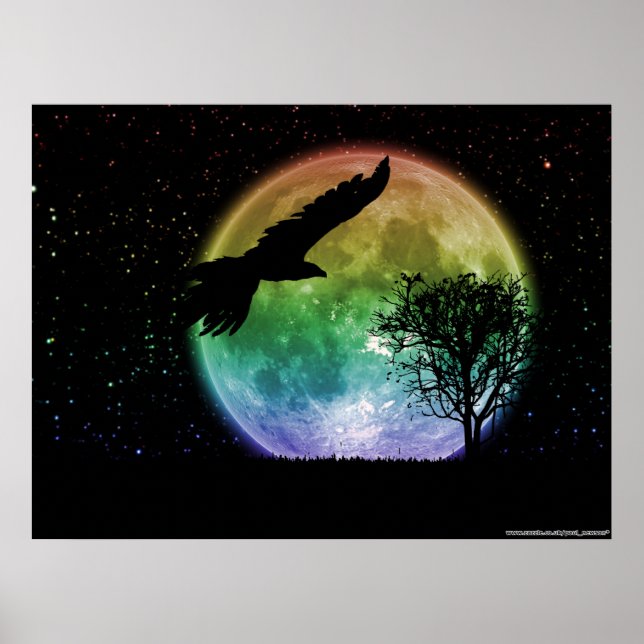 Poster Vol de nuit (Devant)