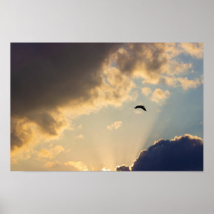 Poster Vol d'oiseaux au coucher du soleil