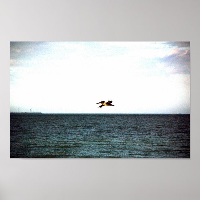Poster Vol du Pélican (Devant)