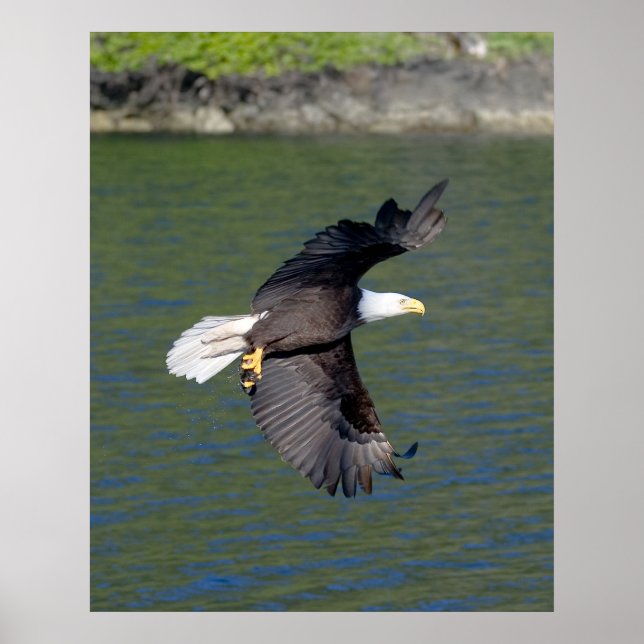 POSTER VOL EAGLE (Devant)