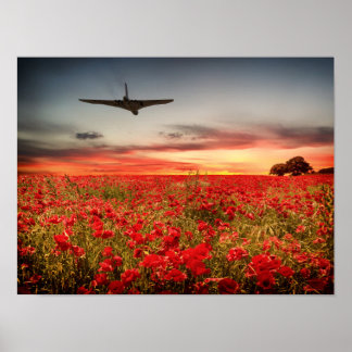 Poster Vol final Vulcan