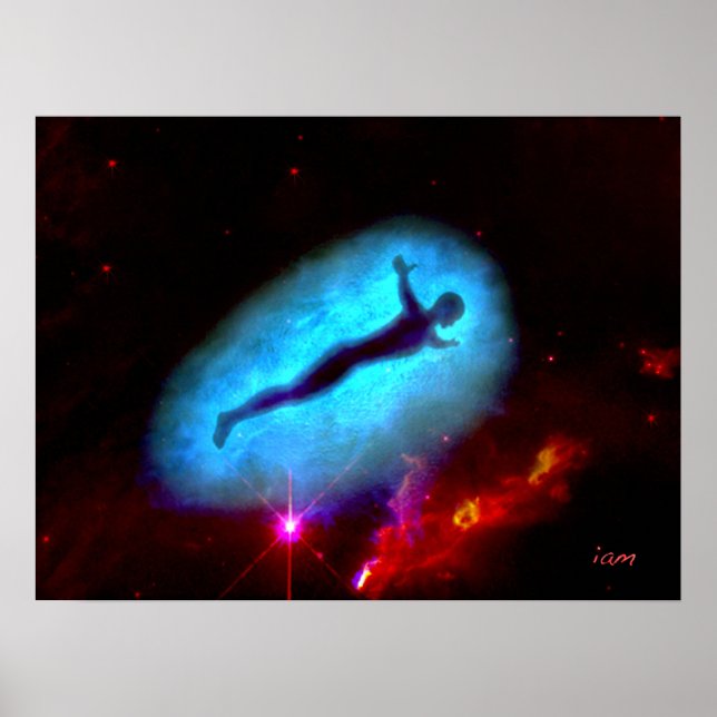 Poster vol libre (Devant)