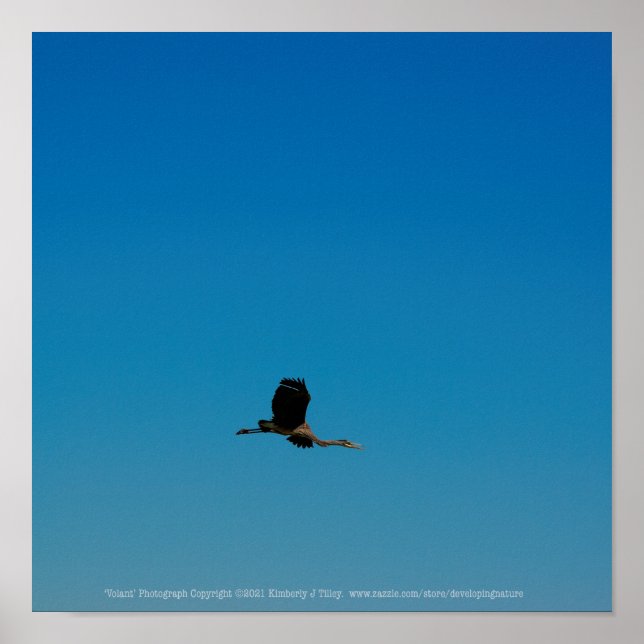 Poster Volant (Devant)