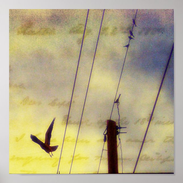 Poster Voler (Devant)