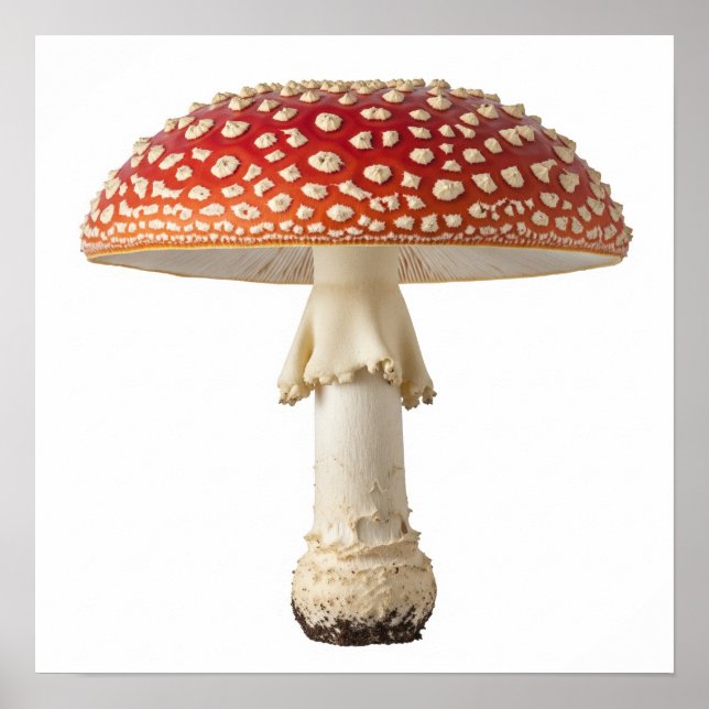 Poster Voler le champignon Agaric (Devant)