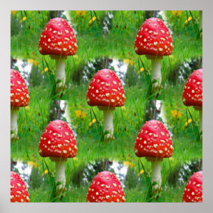 Poster Voler les champignons de l'Agaric