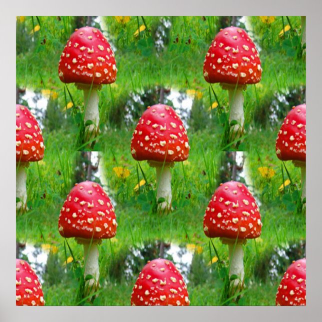Poster Voler les champignons de l'Agaric (Devant)