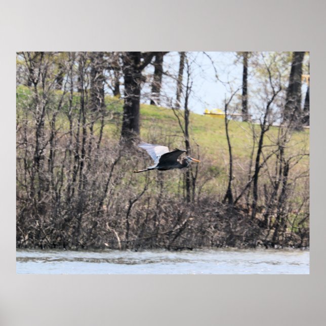 Poster Voler par (Devant)
