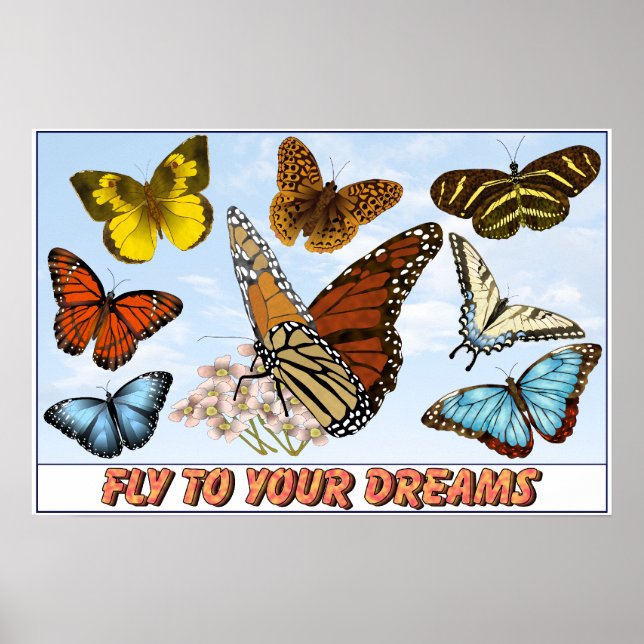 Poster Voler vers vos rêves (Devant)