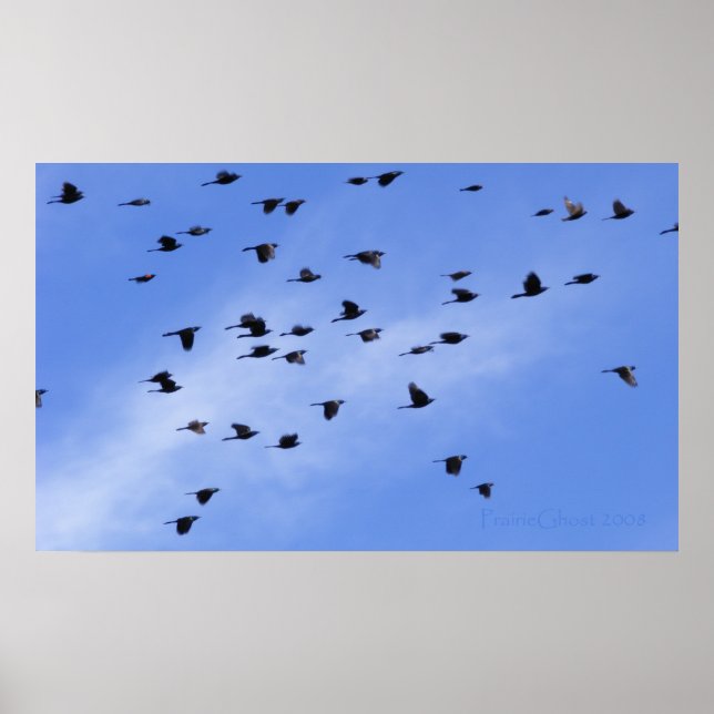 Poster Volet 1 (Devant)