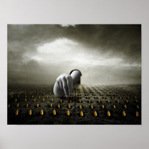 Poster Voleur 2013 de tulipe