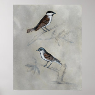 Poster Volière argentée   une paire d'oiseaux