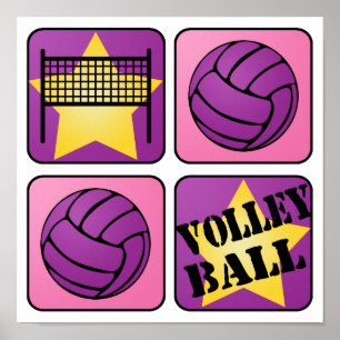 Poster Volleyball rose