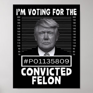 Poster Vote Pour Le Condamné Felon Trump Mugshot Pro T