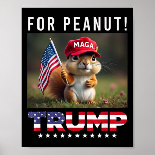 Poster Votez Trump Pour L'Arachide L'Écureuil Trump 2024