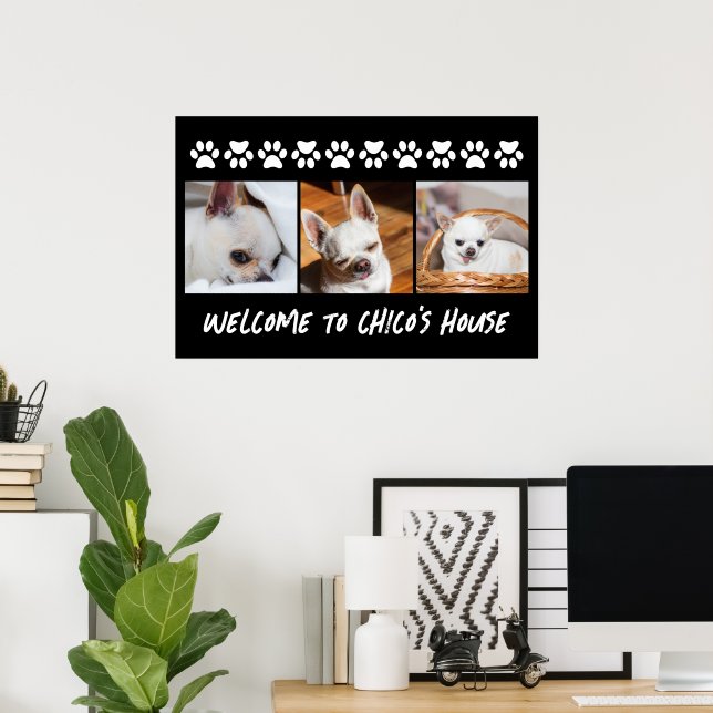 Poster Votre chien de compagnie chihuahua photos personna (Bureau à domicile)