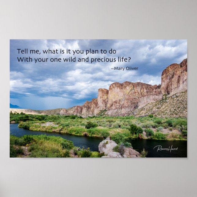 Poster Votre vie sauvage et précieuse (Devant)