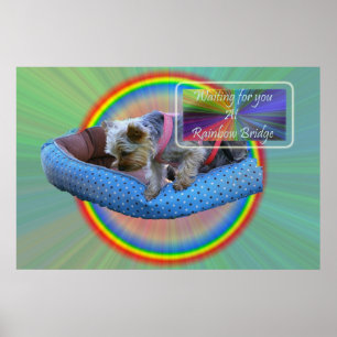 Poster Vous attendez à Rainbow Bridge