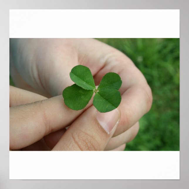 Poster Vous avez de la chance ? (Devant)