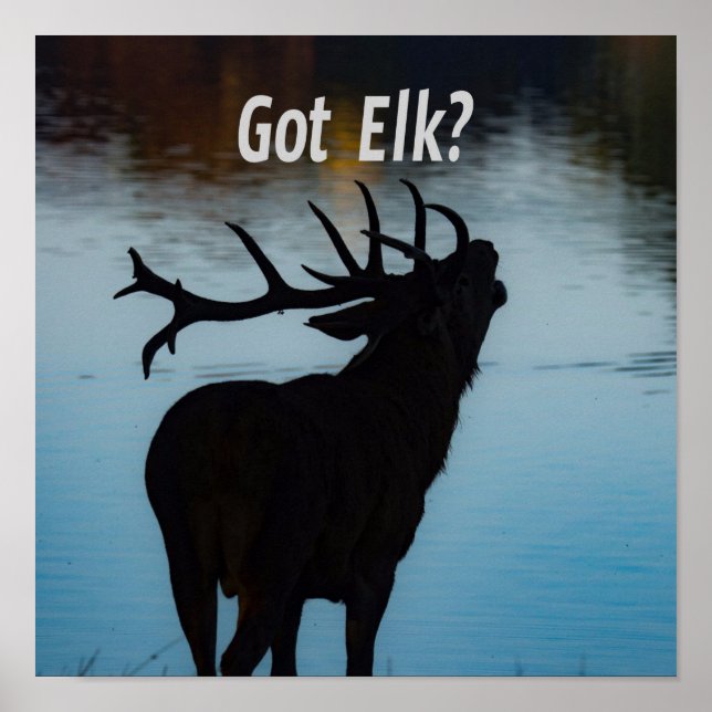 Poster Vous avez Elk ? Funny Hunter Humour (Devant)