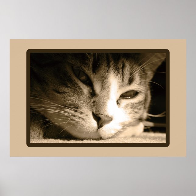 Poster Vous avez manqué (Devant)