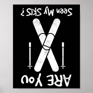 Poster Vous Avez Vu Mes Skis ?
