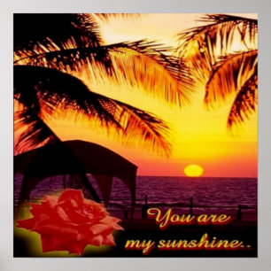 Poster Vous Êtes Mon Soleil