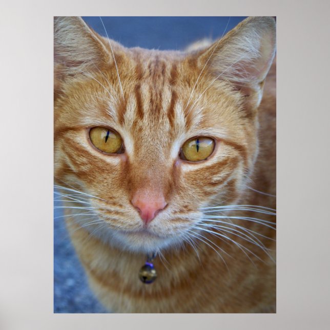 Poster Vous êtes spécial_ Poster_by Elenne Boothe (Devant)