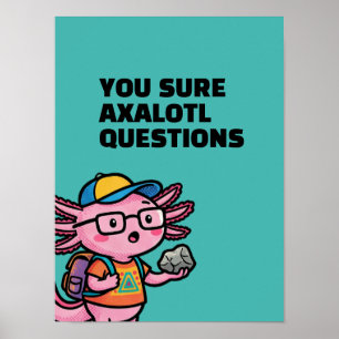 Poster Vous êtes sûr que les questions axolotl Mème sarca